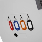 Phoenix Data Combi DS2502E Documentenkluizen MustangSafes