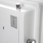 Phoenix Data Combi DS2503F Geen categorie MustangSafes