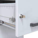 Salvus Bolzano 4 Documentenkluizen MustangSafes