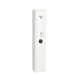 MustangSafes MSG 1-02BC Budget Serie MustangSafes